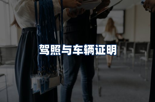 车辆证明展示